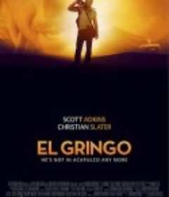 边境大逃亡 El Gringo            (2012)