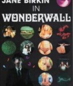 迷墙 Wonderwall            (1968)