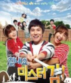 加油，金先生！ 힘내요, 미스터 김            (2012)