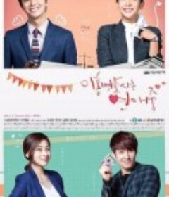 离婚律师恋爱中 이혼변호사는 연애 중            (2015)