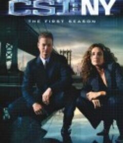 犯罪现场调查：纽约 第一季 CSI: NY Season 1            (2004)