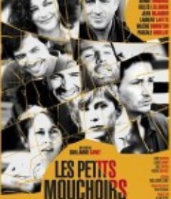 小小的白色谎言 Les petits mouchoirs            (2010)