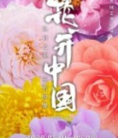 花开中国            (2020)