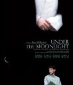 在月光下 (2001)
