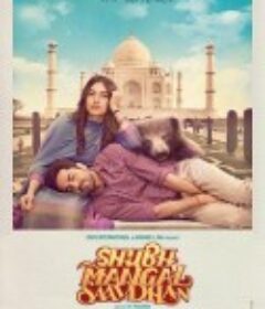 雄起 Shubh Mangal Saavdhan            (2017)