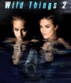 玩尽杀绝2 Wild Things 2            (2004)