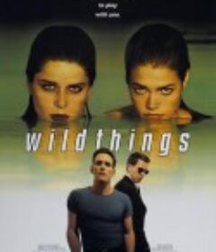 玩尽杀绝 Wild Things            (1998)