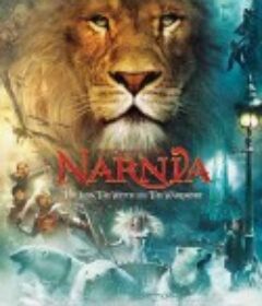 纳尼亚传奇1：狮子、女巫和魔衣橱 The Chronicles of Narnia: The Lion, the Witch and the Wardrobe            (2005)