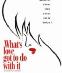 与爱何干 What's Love Got to Do with It            (1993)