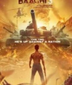 为爱叛逆3 Baaghi 3            (2020)