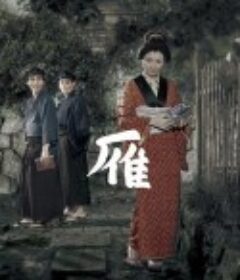 雁            (1953)