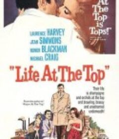 金屋藏娇 Life at the Top            (1965)