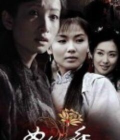 女人花            (2007)