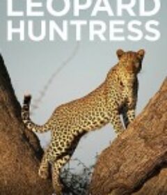 母花豹玛丽卡 Malika Leopard Huntress (2018)