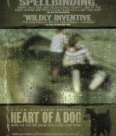 狗心 Heart of a Dog            (2015)