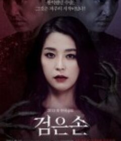 黑手 검은손 未删减版 (2015)