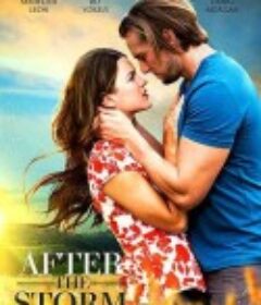 雨过天晴 After the Storm            (2019)