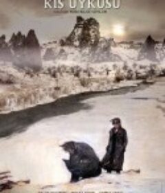 冬眠 Kış Uykusu            (2014)