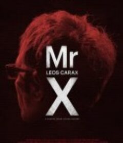 X先生 Mr. X            (2014)