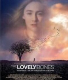 可爱的骨头 The Lovely Bones            (2009)