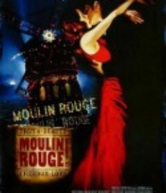 红磨坊 Moulin Rouge!            (2001)