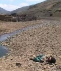 喜洋塘            (2009)