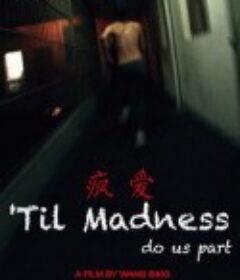 疯爱            (2013)