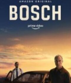 博斯 第六季 Bosch Season 6            (2020)
