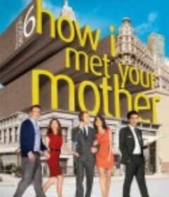 老爸老妈的浪漫史 第六季 How I Met Your Mother Season 6            (2010)