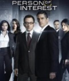 疑犯追踪 第三季 Person of Interest Season 3            (2013)