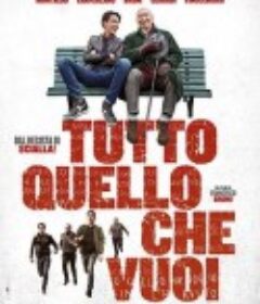 你想要的一切 Tutto quello che vuoi            (2017)