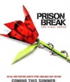 越狱特别篇：最后一越 Prison Break: The Final Break            (2009)
