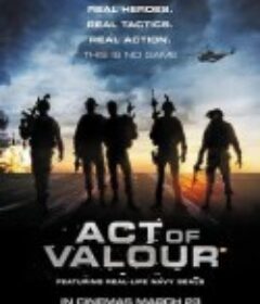 勇者行动 Act of Valor            (2012)