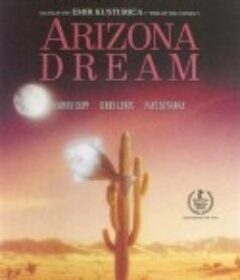 亚利桑那之梦 Arizona Dream            (1993)