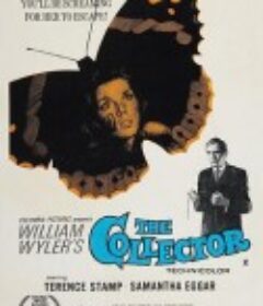 蝴蝶春梦 The Collector            (1965)