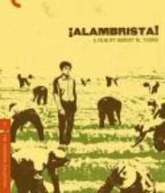 阿兰布里斯塔 Alambrista!            (1977)