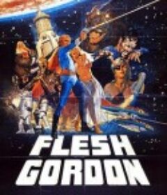 屌飞船奇遇记 Flesh Gordon            (1974)