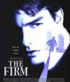 糖衣陷阱 The Firm            (1993)