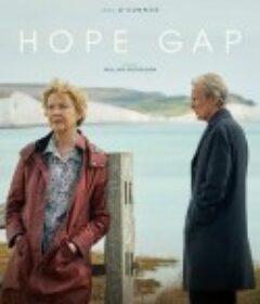 希望沟壑 Hope Gap            (2019)