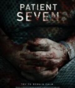 七号病人 Patient Seven            (2016)
