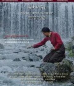 生命之轮            (2018)