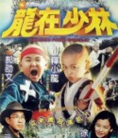 龙在少林 龍在少林            (1996)