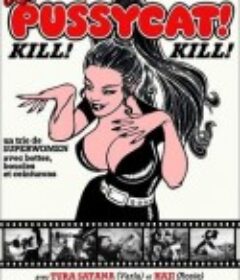 小野猫公路历险记 Faster, Pussycat! Kill! Kill!            (1965)
