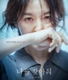 请寻找我 나를 찾아줘            (2019)