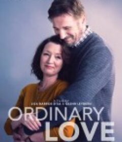 普通的爱 Ordinary Love            (2019)
