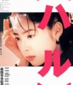 春天情书 （ハル）            (1996)