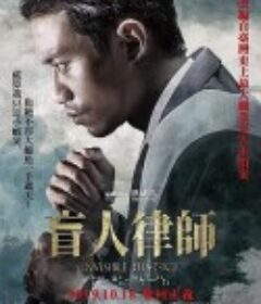 盲人律师 Invisible Justice            (2019)