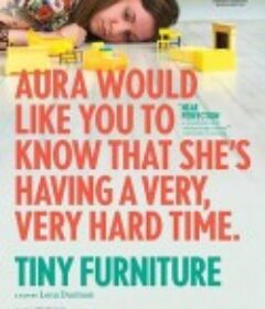 微型家具 Tiny Furniture            (2010)
