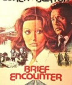 相见恨晚 Brief Encounter            (1974)