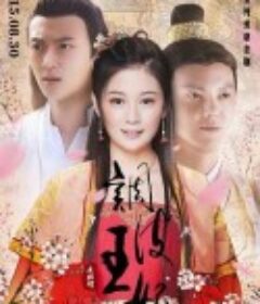 调皮王妃            (2015)